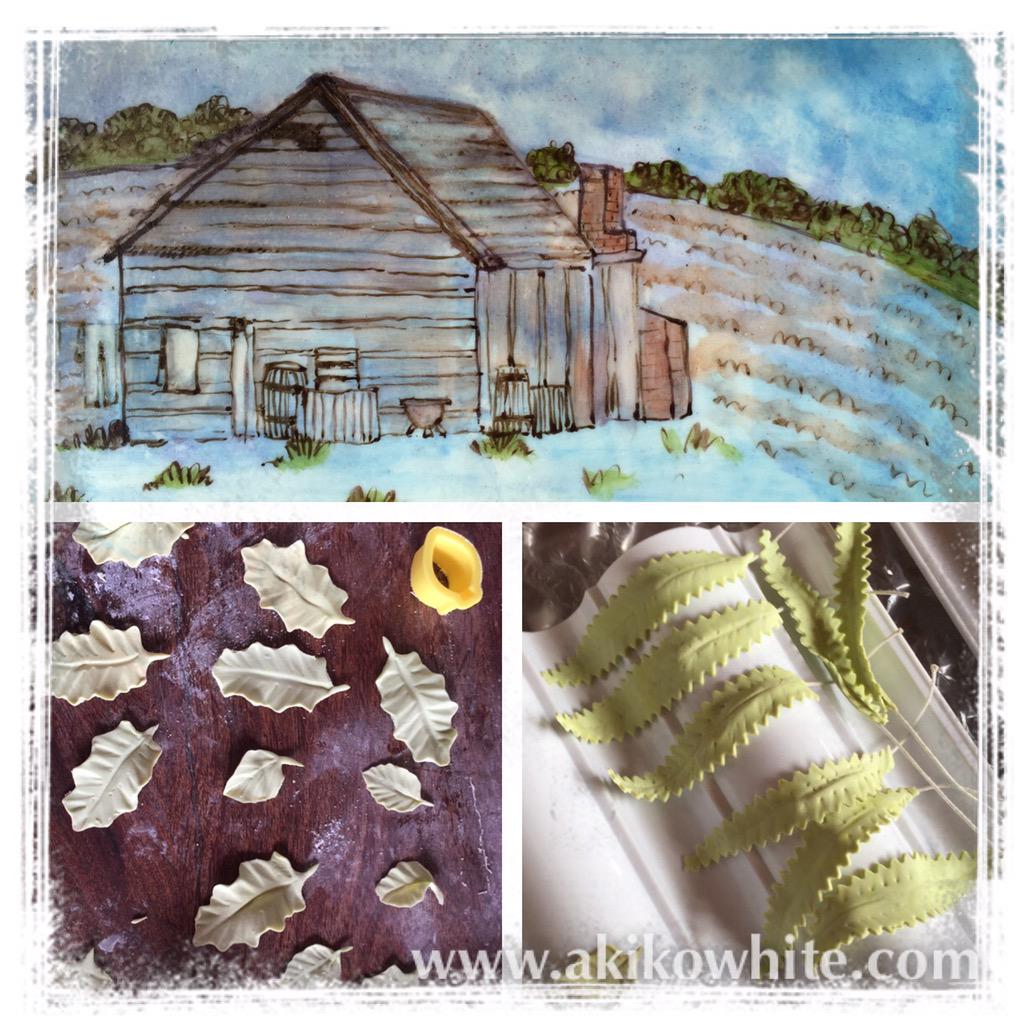 akikowhite's tweet photo. @Devas_T Working on the #FreedomTourAustin cake for this weekend! #cakelustration #kidlitart #edible #yummy http://t.co/qFksJhOJ2l
