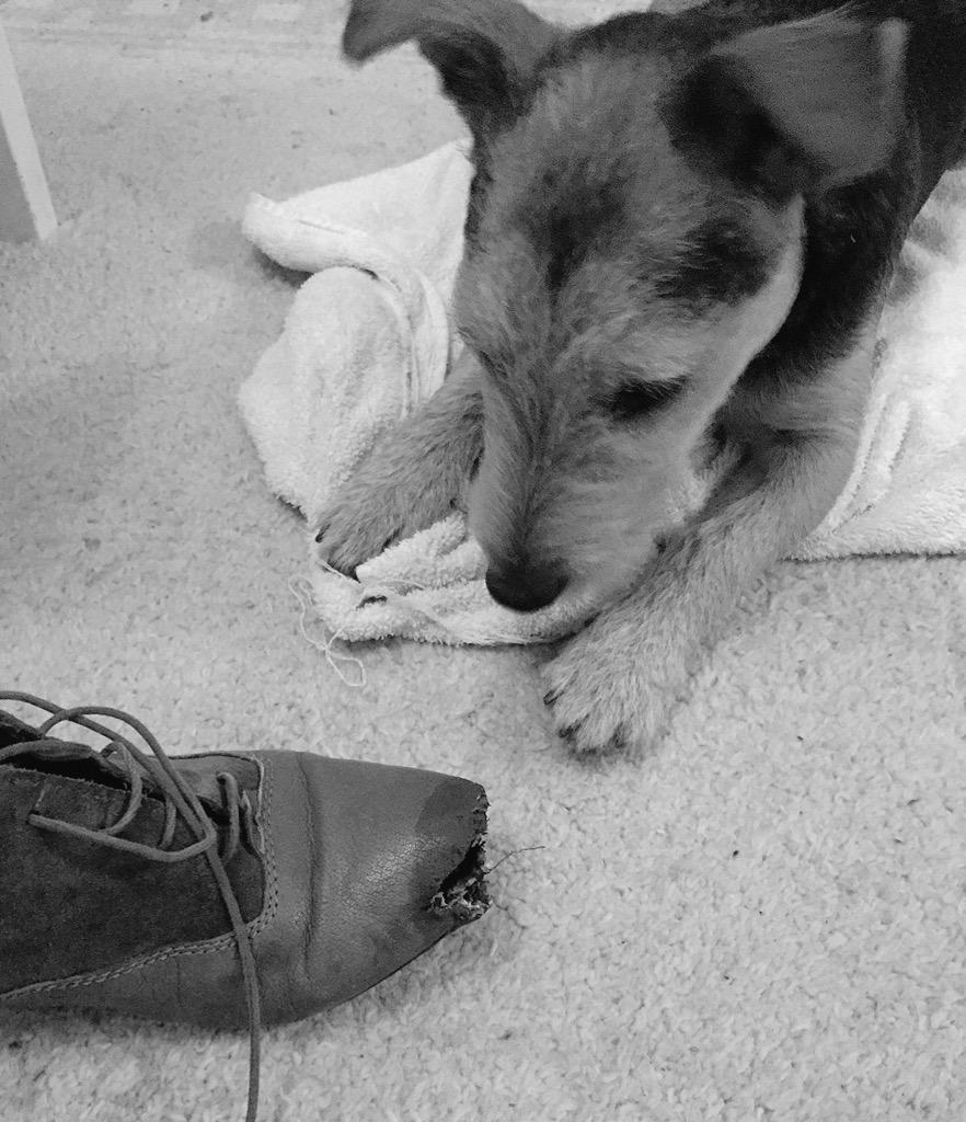 Imogen Uttley tweet media