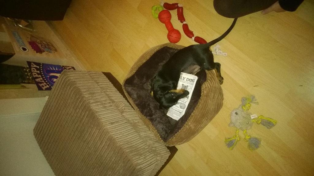 MojodalWilson's tweet photo. #LARRYLOG day 2 catching up with the latest news http://t.co/Le2EmfRgvD