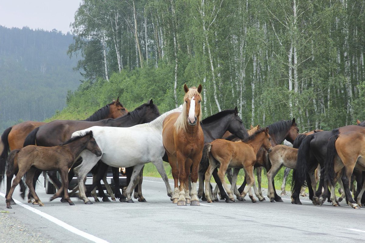 "Leaders . . . do the right thing; managers . . . do things right" - Prof Warren G. Bennis ow.ly/T2iam