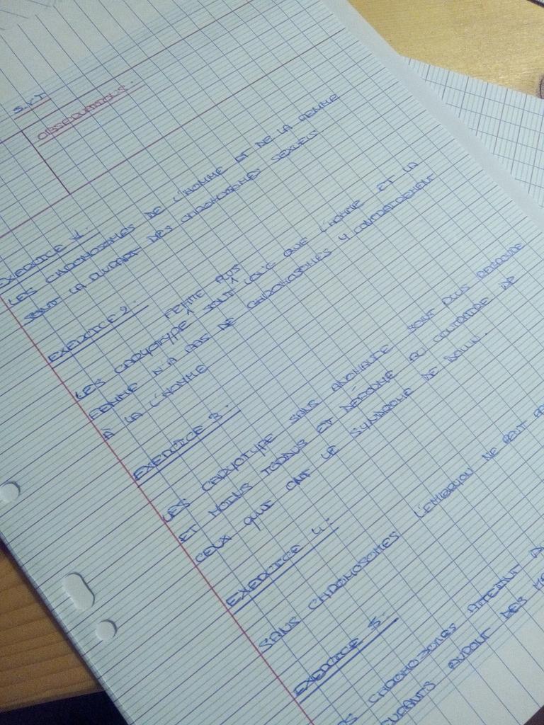 Thug Life Les Devoirs la nuit ›