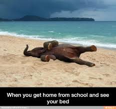 Alanna_Moss4's tweet photo. Lol that's right!!! http://t.co/69LSxp37fL