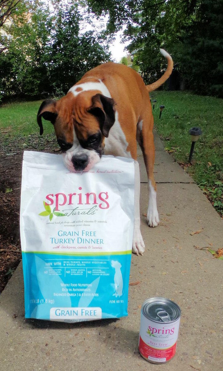 doggiemadness's tweet image. Review &amp;amp; contest soon 3 followers get 2 win grain free @SpringNaturals dry food &amp;amp; wet food, flavor of their choice!