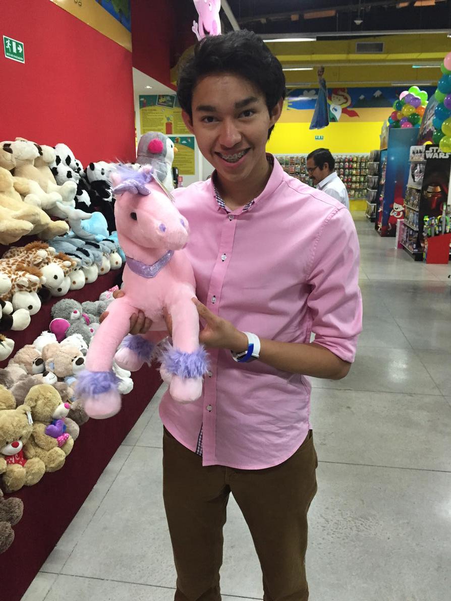 Fernanfloo's tweet photo. Creo que a @vegetta777 se le perdió uno de sus unicornios, tranquilo que yo lo cuido 😁😁 http://t.co/MJkLSPU7wm