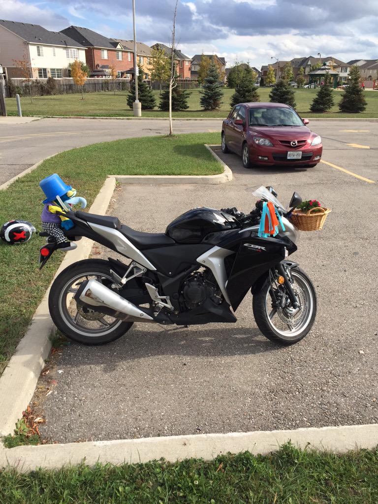 James Potter GYM tweet media