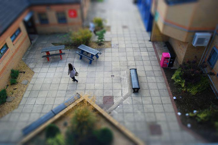 W6FCVisualArts's tweet photo. It's actually a miniature college, with miniature staff and students
@WilberforceSFC AS Photography http://t.co/IjbYKwiSV4