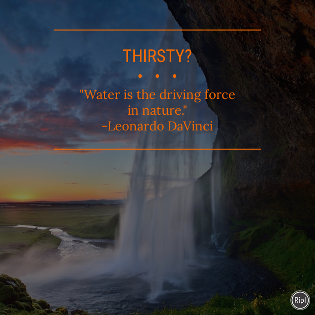 What are you drinking today? via Hint Water on Ripl s.ripl.com/bzvyp0 #spon