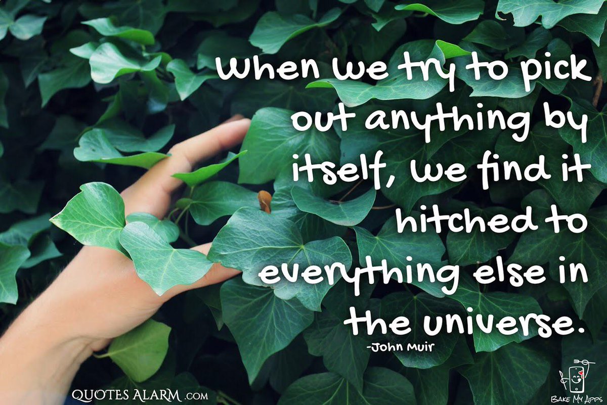 #quotes Separation is an illusion. Everything is everything ✨ quotesalarm.com