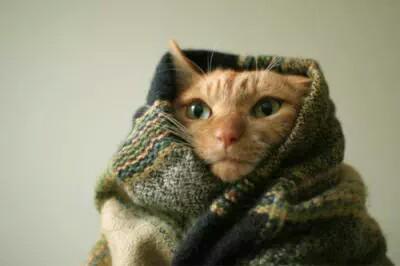FunnyQuotees's tweet photo. winter is coming http://t.co/fpK7Au4F1Z