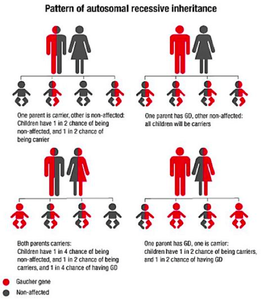 Rare Diseases tweet media
