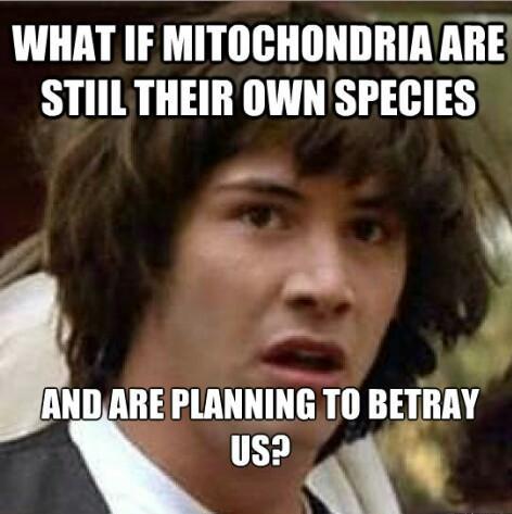 PowerToTheCell's tweet photo. With a bit of luck and your vote, it won't happen. Mitochondria 2015 @schscell http://t.co/P8mLPWoH6u