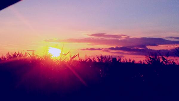 nellamentediS's tweet photo. E quando il sole se ne va a dormire... un altra vita ricomincia! http://t.co/HpQMEnObbF