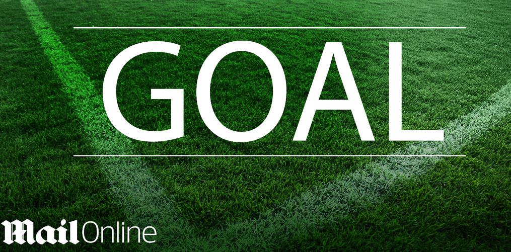 GOAL! Republic of Ireland 1-0 Germany. The roof of the Aviva just went off. Shane Long! dailym.ai/1R1pCFe