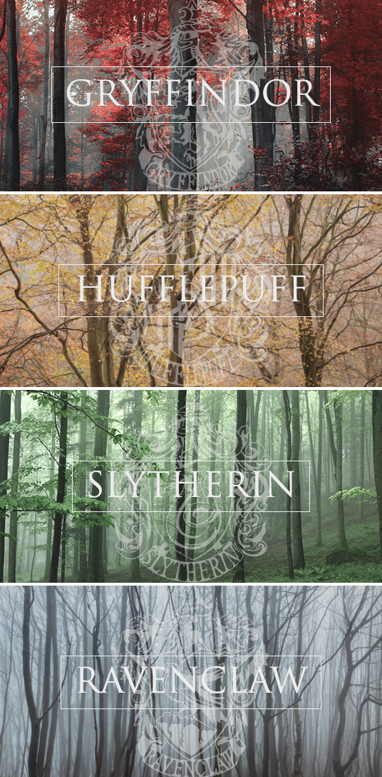 Welcome to Hogwarts.