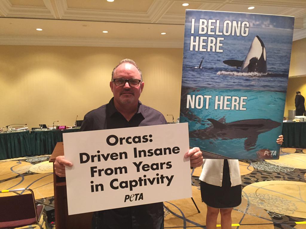 peta's tweet photo. Former #SeaWorld trainer ft. in #Blackfish, Dean Gomersall, is one of the 100s here asking commissioners to #VoteNo. http://t.co/NGVsVHkSH8