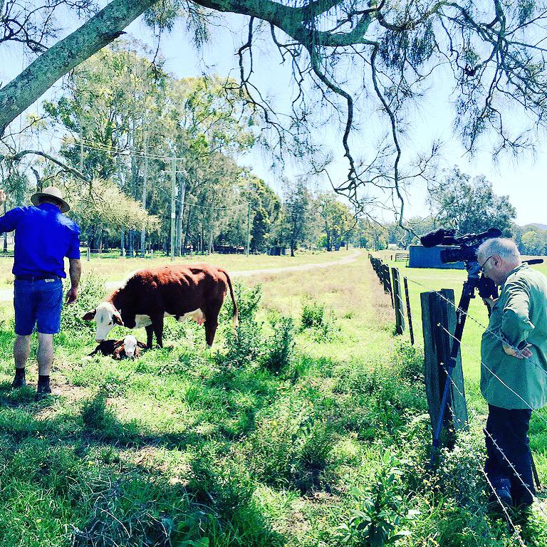 Joshua Gilbert tweet media