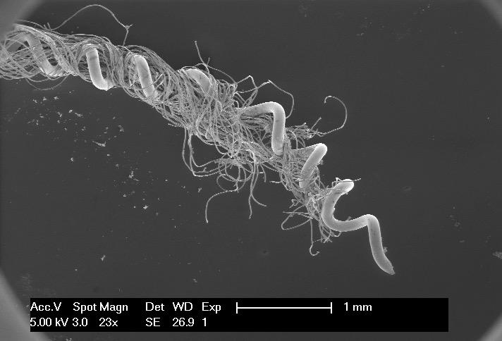 Angie Firmalino tweet media