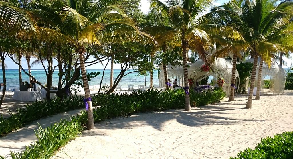 CrazyLeoNet's tweet photo. Beautiful setting for tonight's wedding! 

#friendgettingmarried http://t.co/ufWurgXnWY
