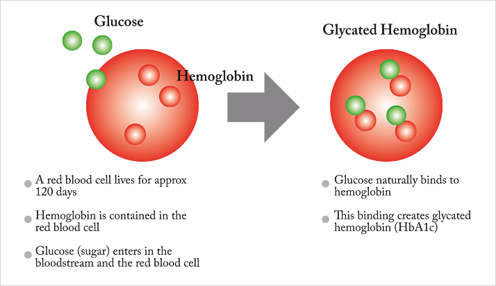 pathologistmag's tweet photo. #Glycated #serumprotein testing may expand #diagnostic &amp; treatment options: http://t.co/5YM0fSYeKC #diabetes http://t.co/DPvLAou8rB