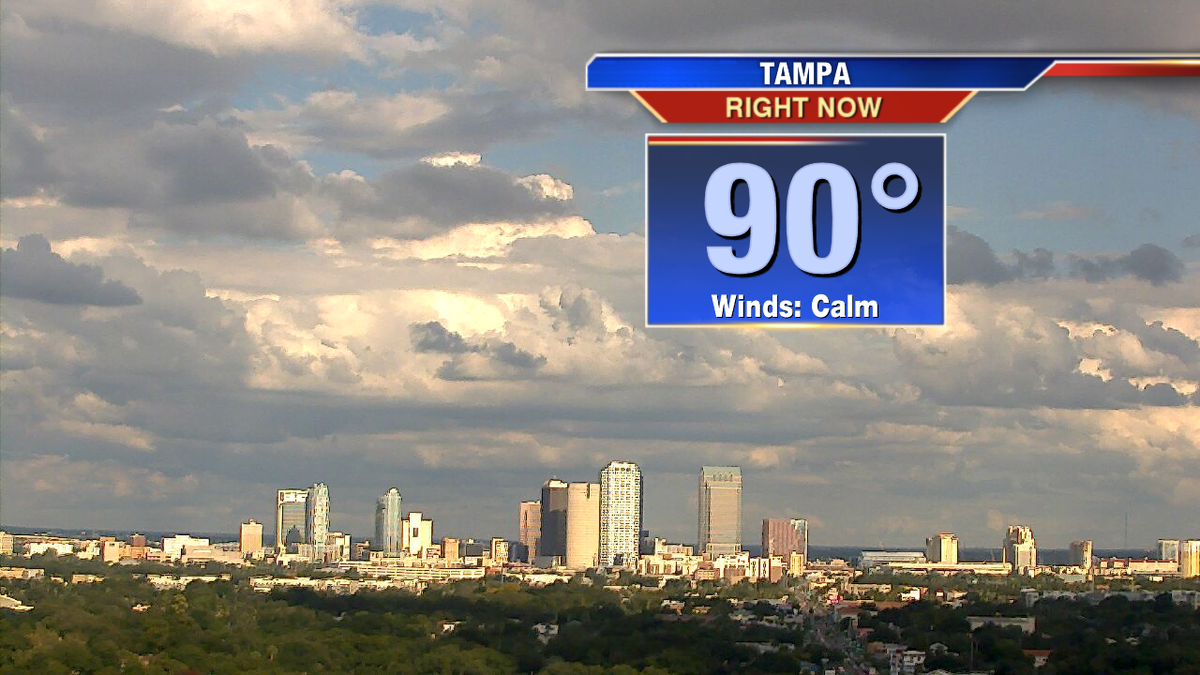 PaulFox13's tweet photo. Cat 5 #AutumnFail #Tampa http://t.co/TaMnI9zqaa