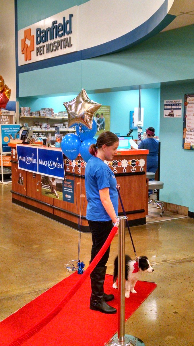 80emma583's tweet photo. Proud moment with Make a wish at 0386. #inspiredbypets #westpetm http://t.co/3Wqg5LN6qz