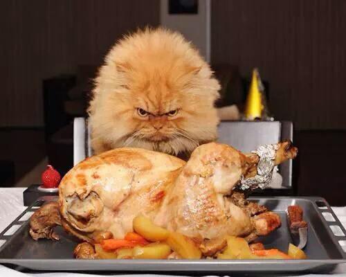 JeremyNicolls's tweet photo. When your girl is Spoiled, and you tell her "No" http://t.co/lOUymt6WQw
