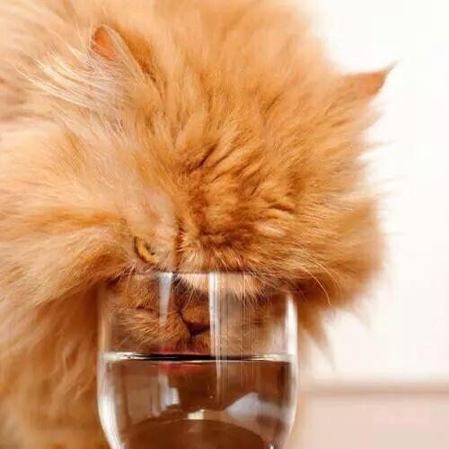 JeremyNicolls's tweet photo. When your girl is Spoiled, and you tell her "No" http://t.co/lOUymt6WQw