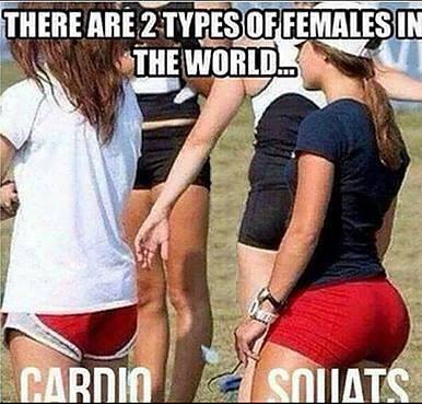 ABNScience's tweet image. KING'S WORLD: The most basic movement in bodybuilding is the squat