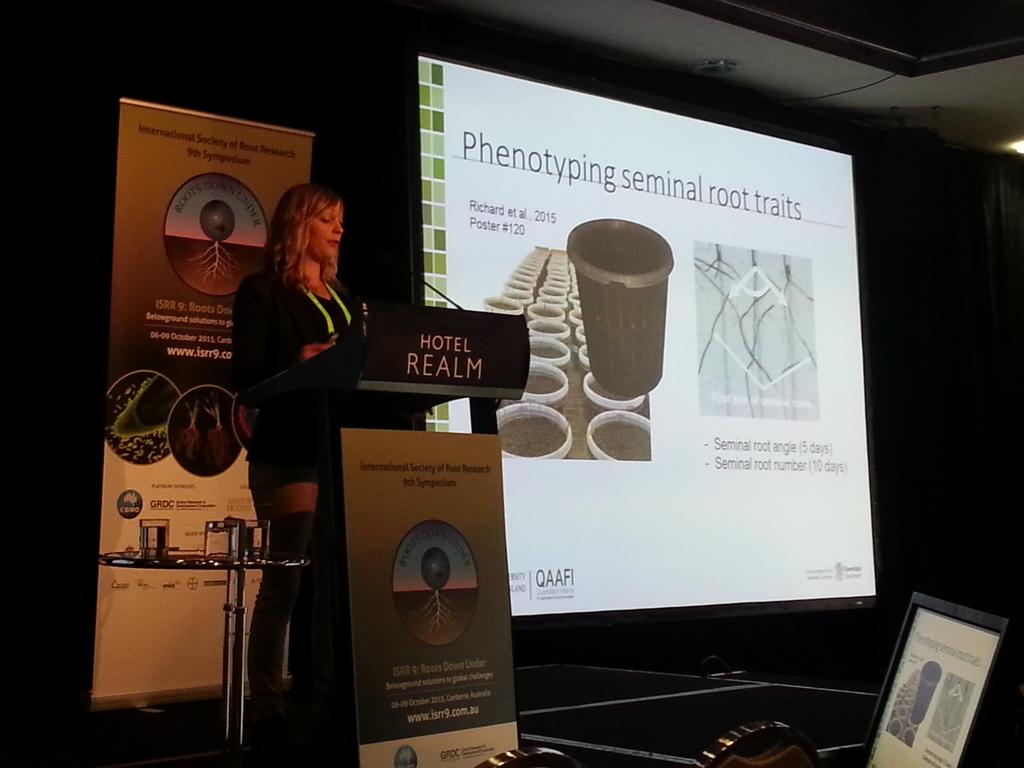HickeyLab's tweet photo. .@c6lrichard explains how speed breeding, physiology, genetics &amp; 'clear pot' method can build drought tolerant wheat http://t.co/a0jzMUe4LY