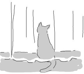 なんか昨日めっちゃ寝てしまって早起きしたんだけどおかげで猫が存分にひなたぼっこしてるところ拝めた〜いつもはカーテン開けてないからカーテン裏に回ってるらしいんだけど今日は開けておいたから床でゴロンゴロンしててご機嫌
