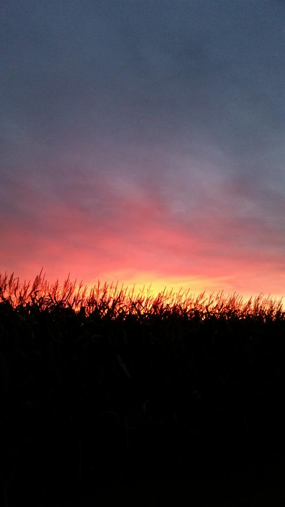 As Hunters we get to see things like this more than most #lifeisgood #altansafeoutdoors