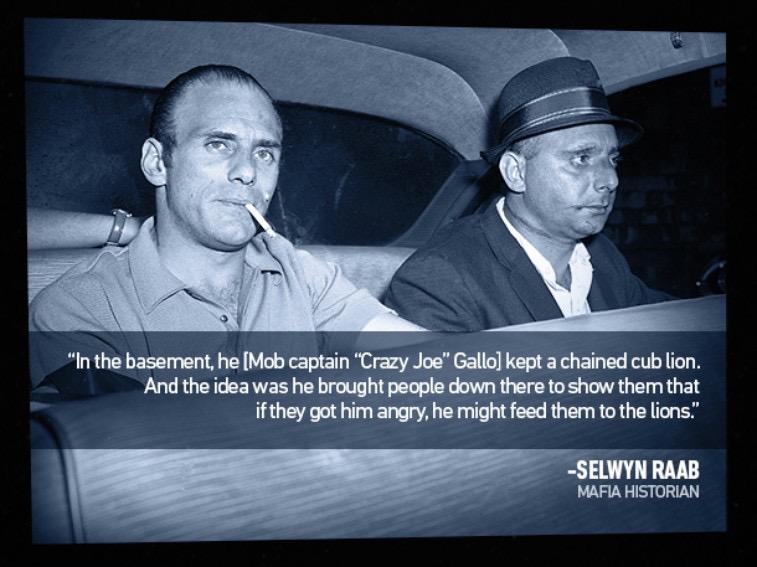 stevenellis2323's tweet photo. #mobtown #mobquotes #makingofthemob #luckyluciano #lucianofamily #johngotti #newyork #LasVegas http://t.co/HV33QUsdLu