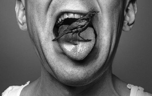 PattersonStory's tweet image. Defining fantasy sub-genres: "New Weird Fantasy"  bestfantasybooks.com/new-weird-fant… via @fantasy_books #Fantasy #SFF #Books