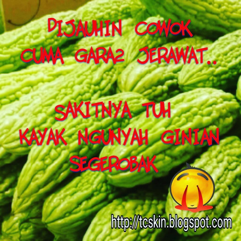 mulusdotcom's tweet image. goo.gl/1rZzUT 
tcskin.blogspot.com
Info order : 
bbm 5800e3f3 /WA. 08568465656