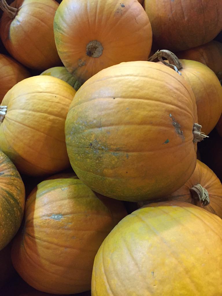 CheshireProduce's tweet photo. Plenty of Pumpkins arrived this morning #Halloween http://t.co/lnP8Bj9Ys1