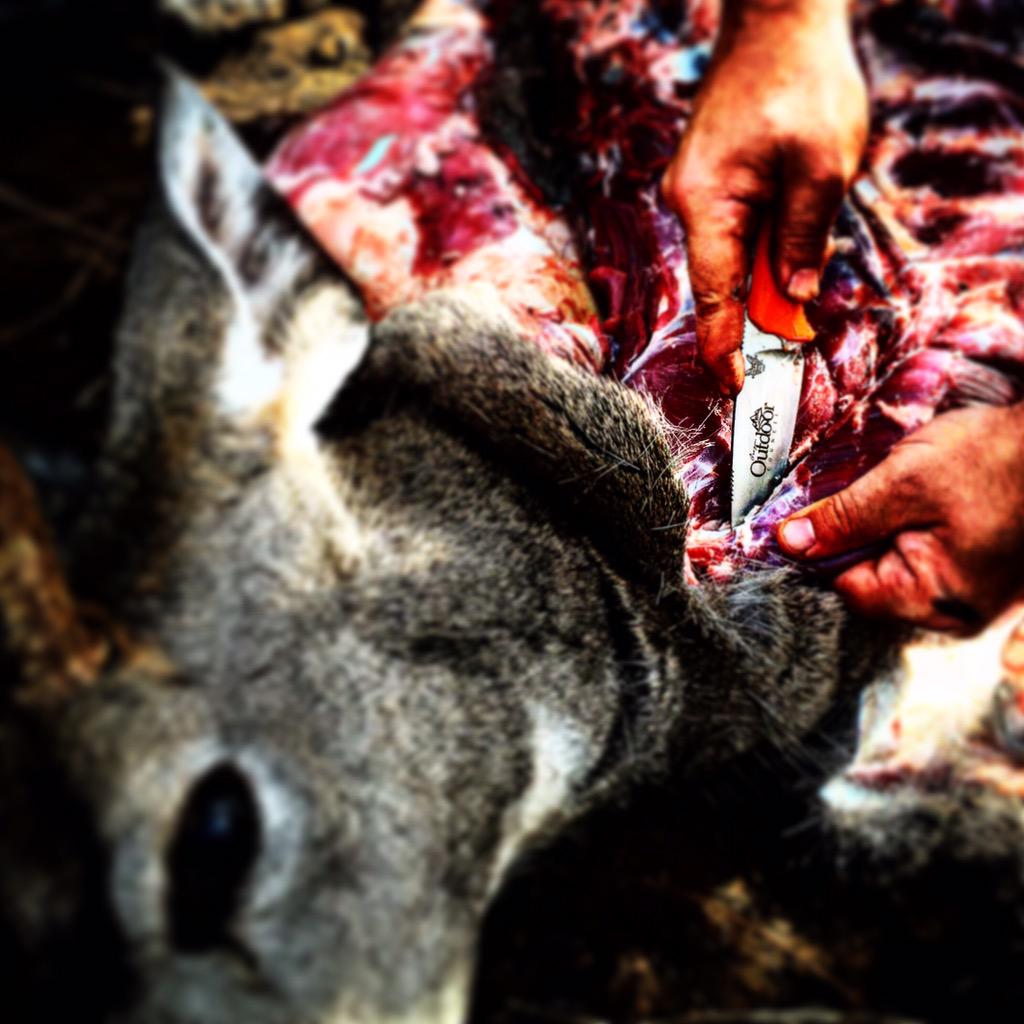 ORoutdoor's tweet image. Are you a member yet? oregonoutdoorcouncil.org/annual-members… Join the most aggressive #prohunting organization in Oregon. #hunting