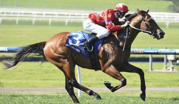 Racing's tweet image. Get your @CranTurfClub bets on early with the help of @defier1's #PremiumPicks. rac.ng/1jRWYfz