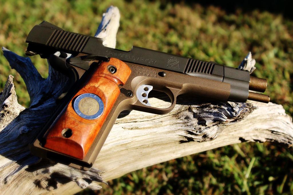 BKA two-toned .45 Springfield 1911 

#gunoftheday #springfield1911 #blackknightarmorers #cerakote