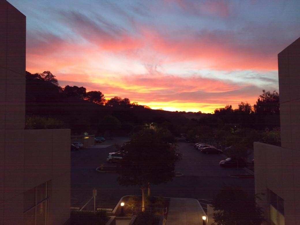 Wei Wang tweet media