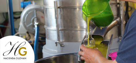 Así es la apariencia de los primeros aceites de la cosecha que estamos obteniendo en Hacienda Guzmán #HGExperience