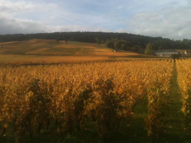 boutescooperage's tweet photo. Patchwork in #Volnay http://t.co/xrOkVsSJmh