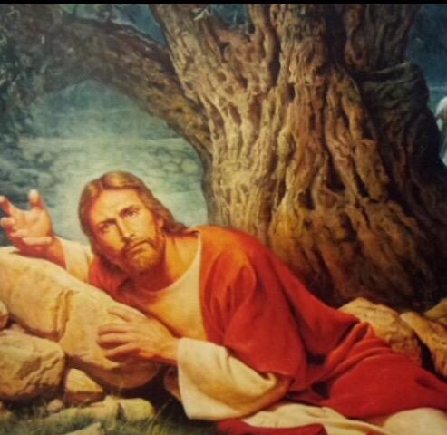 ThatBloke_Jesus's tweet photo. When you're trying to get some sleep but you're in a group WhatsApp thread http://t.co/S7IypM03mB