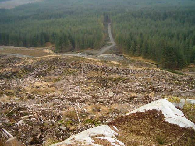 bikes4sunbusrt's tweet photo. .@spedwybabs @MikeMoschella.@SaferSunburst's plan destroys endangered Honeyeater habitat.#organiseus Vote bike lanes! http://t.co/fVzbENa0cw