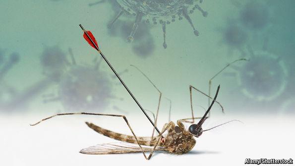 Politicians and research funders must not give up on plans to eradicate malaria econ.st/1OnNuFC