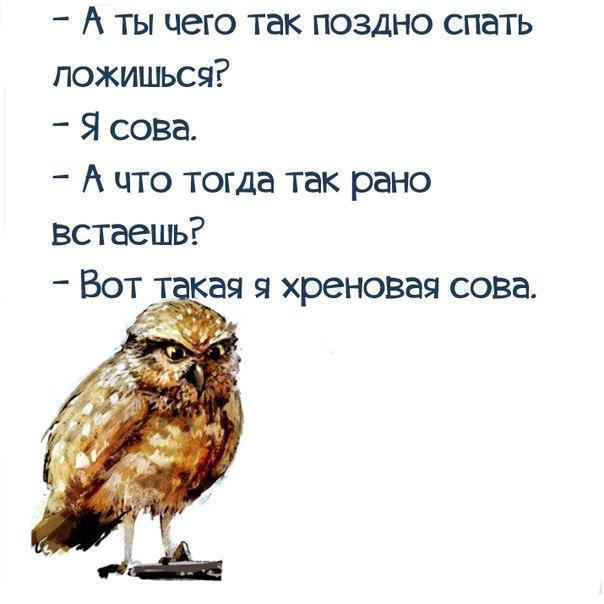 Пожара, спать ложусь картинки смешные