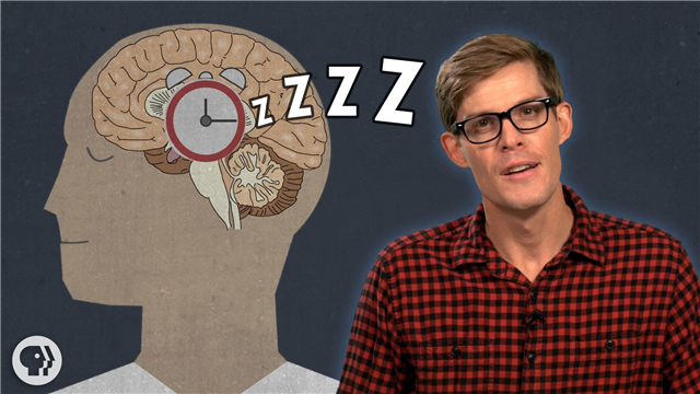 ChiroRadDoc's tweet image. Here’s a look at how sleep works, why we’re not getting enough sleep, what happens if... bit.ly/1htxF1r