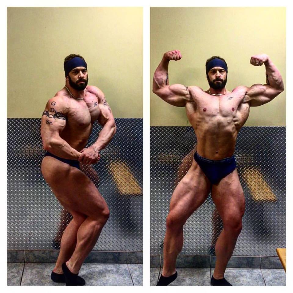 ABNScience's tweet image. THE KING'S ARMY UPDATE: Grover is 4.1 weeks out. His conditioning is improving DAILY.