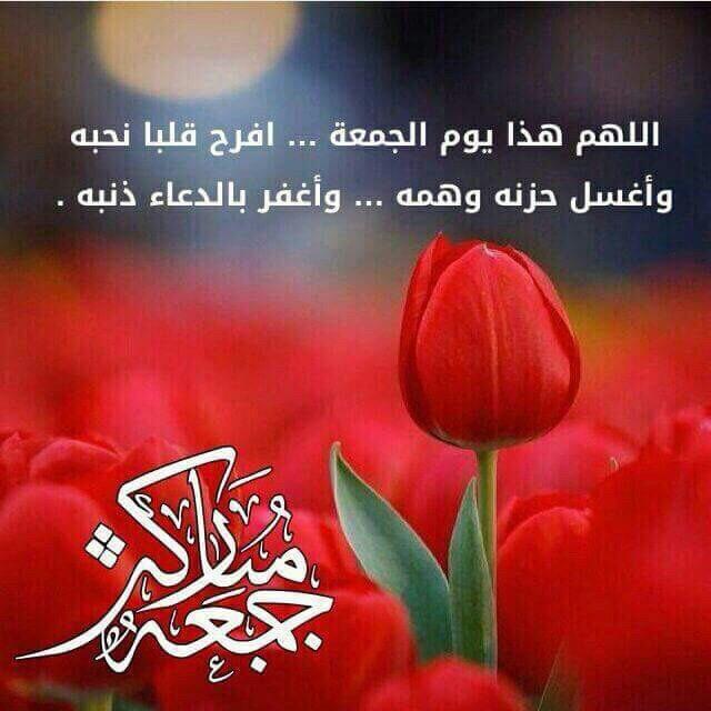mahmoodq245's tweet photo. http://t.co/8xH7Z28Yx8