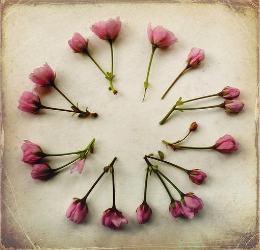 Plume_Coloree's tweet photo. #FionaWatson http://t.co/Pbs6cW9gXI