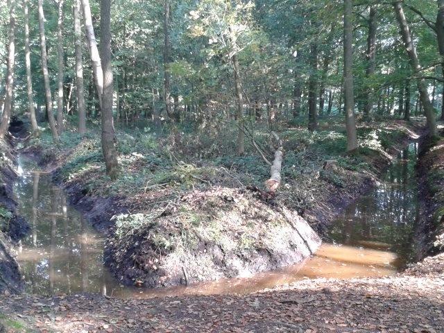 ab_dijk's tweet photo. De historische lijnen in het sterrenbos op #hoevelaken worden door het baggeren weer zichtbaar. #glk http://t.co/HvoOy6UM0n